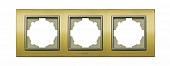 ZENA Platin Рамка 3-я золото/титаниум контур  500-073414-227
