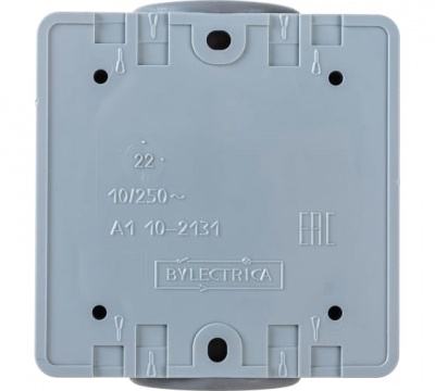 А110-2131 (03) Пралеска  Выкл. 1кл IP55 белый о/у (30)