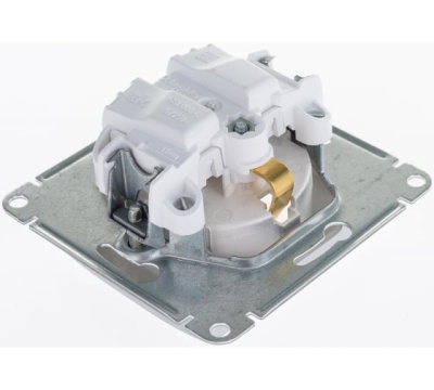 Розетка Schneider Electric Glossa 16 А 250 В Алюминий GSL000343 (20)