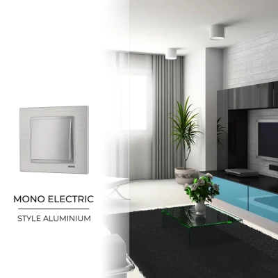 Style Рамка 1-я Серебристая Алюминиевая  (1/5)