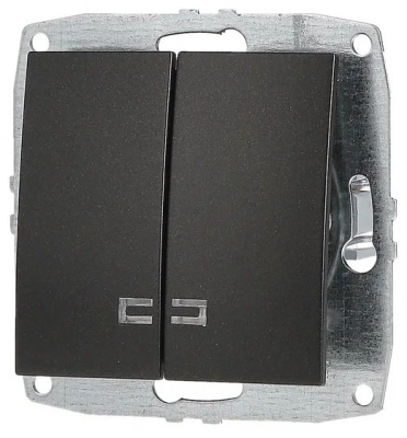 L / D Механизм  Выкл. 2 кл. с Подсв. Графит  (12)